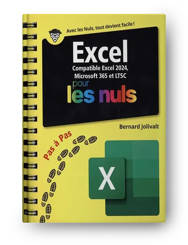 Excel 2024 Pas à Pas pour les Nuls PDF