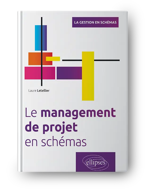 Le management de projet en schémas pdf