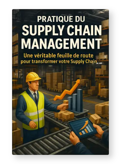 Pratique du Supply Chain Management PDF